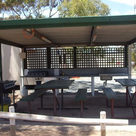 Acclaim Gateway Caravan Park Dundas المظهر الخارجي الصورة