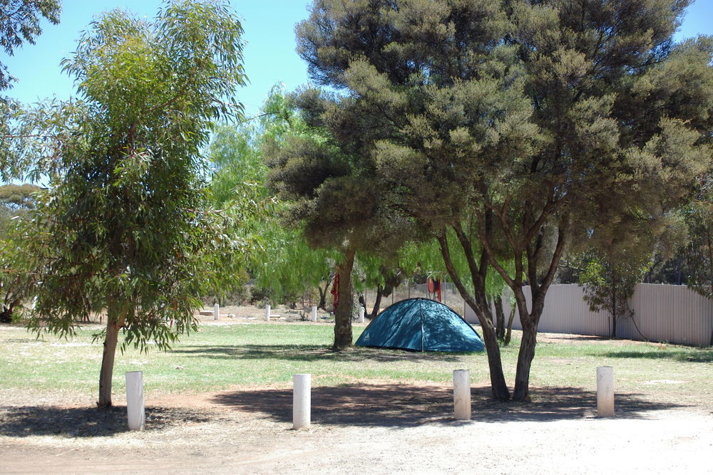 Acclaim Gateway Caravan Park Dundas المظهر الخارجي الصورة